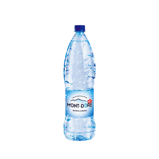 Eau du Mont Dore - Bouteille 1.5L