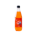 Tulem Cider - Bouteille 60CL